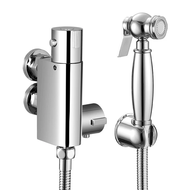 Thermostatic Bidet Spray